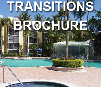 transitions brochure Our Brochures